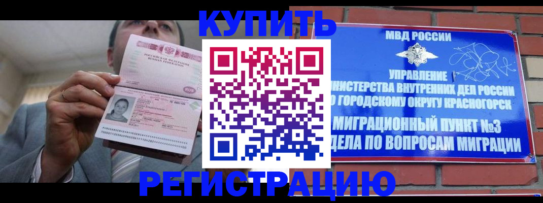 прописка в Сураже